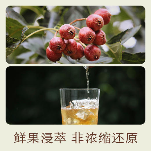 南食召 基本山楂露 商品图2