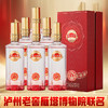 【店铺热销】泸州老窖 雁塔祈福 得福 浓香型 52度 500ml*6瓶 商品缩略图0