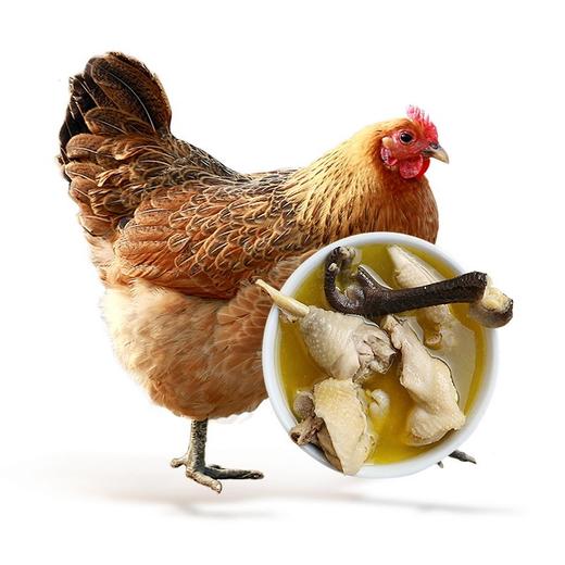 【HFS】大别山金寨老母鸡（净膛剁块）约500g/份 商品图0