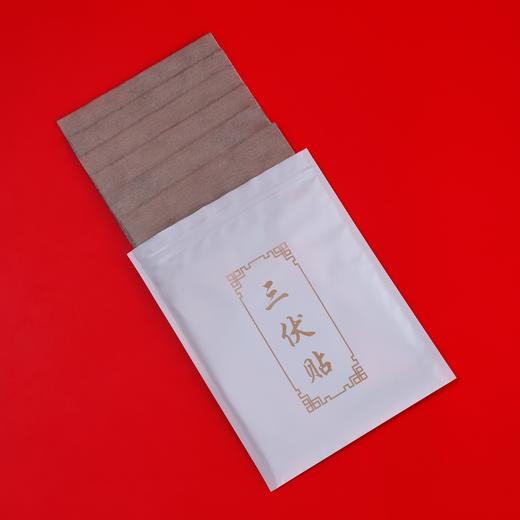 正安优选·期颐健中艾草三伏贴  13味本草精华   覆盖6个穴位 商品图1