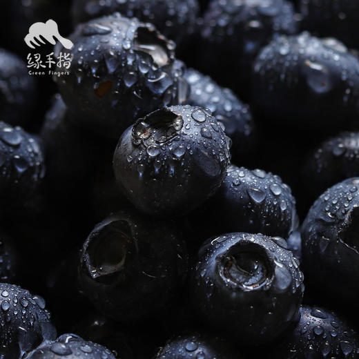 有机蓝莓（云南大理） | 合作生产*Organic blueberries | artner Production 商品图2