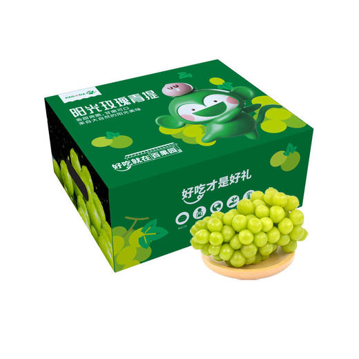 PAGODA百果园 A级-阳光玫瑰青提（大果）4.5斤彩箱装 商品图0