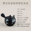 日本进口常滑烧阳春系列侧把急须泡茶壶日式樱花家用滤网功夫茶具【不支持补差，非质量问题不退不换】S 商品缩略图4