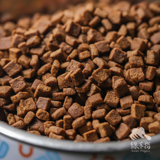 昆虫蛋白全价犬粮（狗粮） | 公平贸易*Insect protein full price dog food| Fair Trade 商品图2