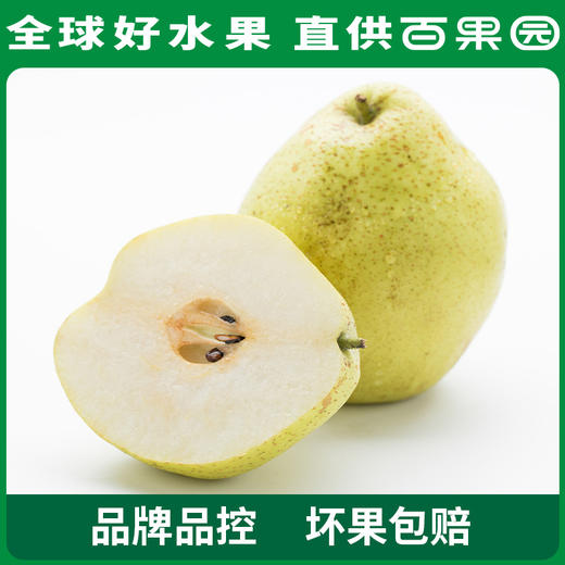 PAGODA百果园 A级-雪梨6粒家庭装 商品图2