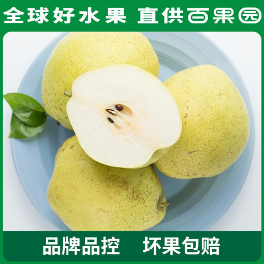 PAGODA百果园 A级-雪梨6粒家庭装 商品图3