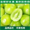 PAGODA百果园 A级-阳光玫瑰青提（大果）4.5斤彩箱装 商品缩略图3