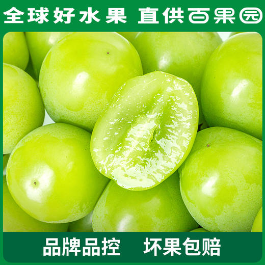 PAGODA百果园 A级-阳光玫瑰青提（大果）4.5斤彩箱装 商品图3