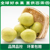 PAGODA百果园 A级-雪梨6粒家庭装 商品缩略图1