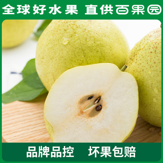 PAGODA百果园 A级-雪梨6粒家庭装 商品图4