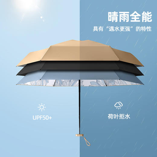 热卖！晒不黑！日本FIYU小金伞2.0  伞界“安耐晒”！扁小轻 晴雨两用  随行简约 4款可选 商品图4