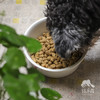 昆虫蛋白全价犬主食冻干粮（狗粮）| 公平贸易*Insect protein full price dog staple frozen dry food 商品缩略图2