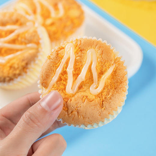 当季新品 港荣蒸蛋糕咸肉松味营养早餐办公室休闲零食糕点面包整箱 肉松咸蛋糕 480g 商品图1