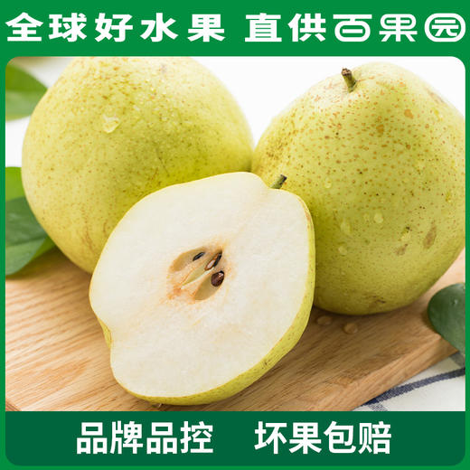 PAGODA百果园 A级-雪梨6粒家庭装 商品图0
