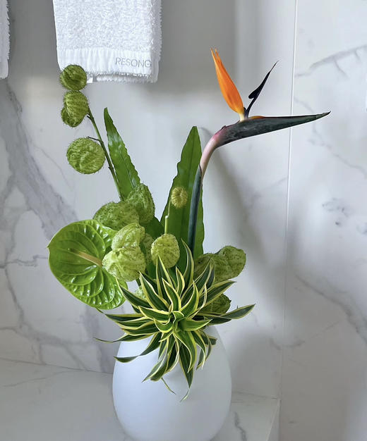 【竹报平安】金边百合竹 2枝/扎 商品图10