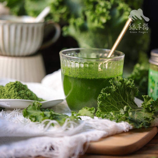 生态冻干羽衣甘蓝粉50g【产地直发】@绿手指 商品图0