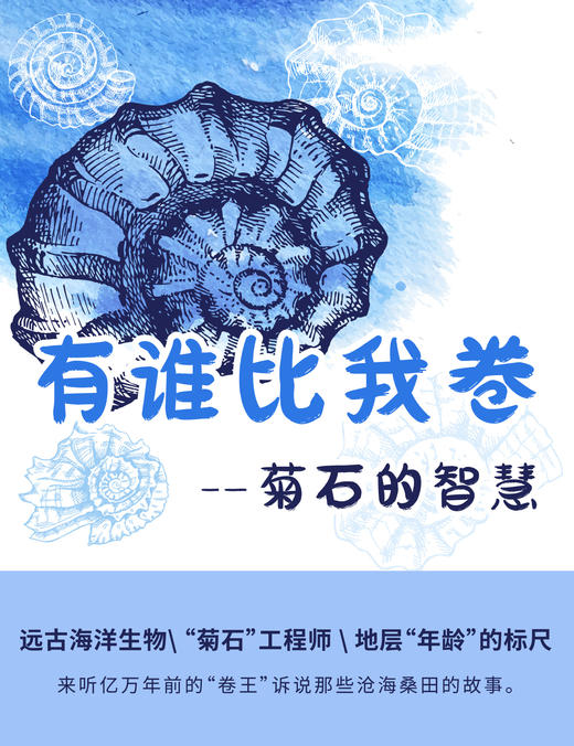 贵地博 有谁比我卷——菊石的智慧 商品图0