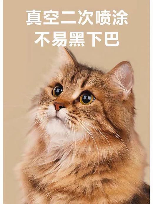 翡冷翠繁育系列全价营养低敏猫粮F38/F40牛肉鸡肉10kg 商品图2