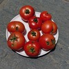 有机丑果番茄（草莓番茄）｜云南楚雄 商品缩略图0