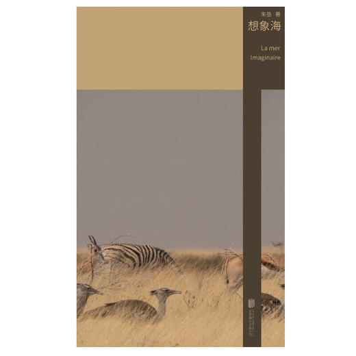 【签名本】想象海  洗练的文字下暗藏诡谲的故事与谜题 朱岳 著 科幻幻想文学 新行思 商品图1