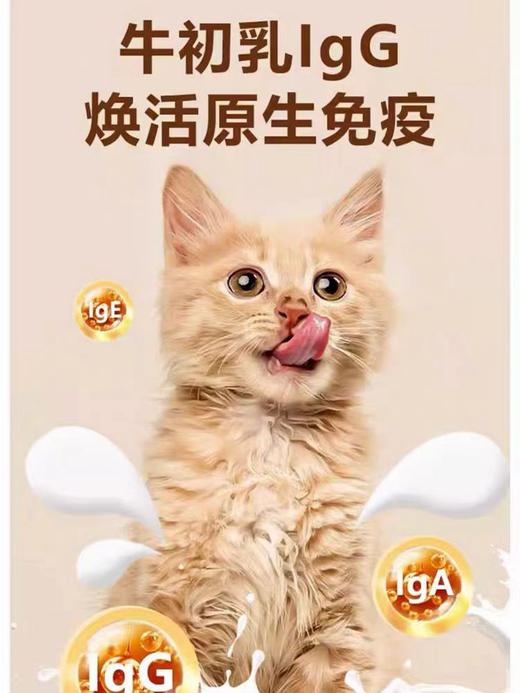 翡冷翠繁育系列全价营养低敏猫粮F38/F40牛肉鸡肉10kg 商品图3