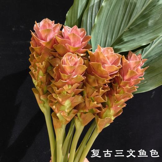 夏日精选花材姜荷花【有邮费】 商品图6