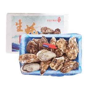 乳山生蚝（件) 约3斤