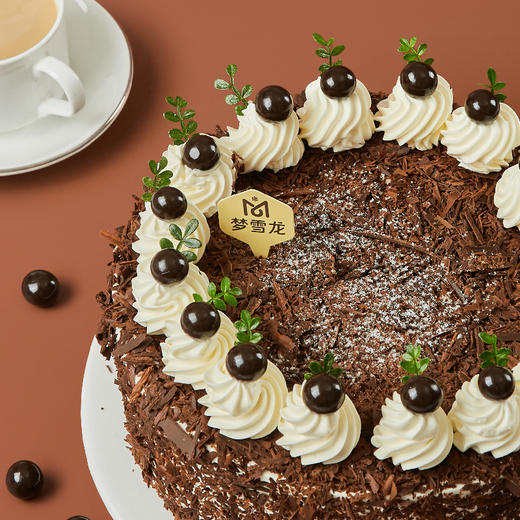 黑森林冰淇淋蛋糕 |  梦雪龙 商品图2