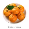 广西优选砂糖桔(1000±50g） 砂糖橘 商品缩略图0