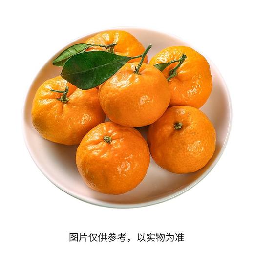 广西优选砂糖桔(1000±50g） 砂糖橘 商品图0