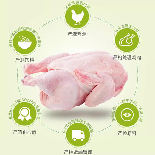 太太乐鸡精调味料180g 商品图3