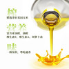 盘中餐金樽压榨鲜胚玉米油5L 商品缩略图1