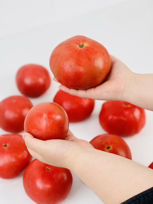 上海有机西红柿🍅本地有机种植，坚持自然成熟，味浓多汁 商品图4