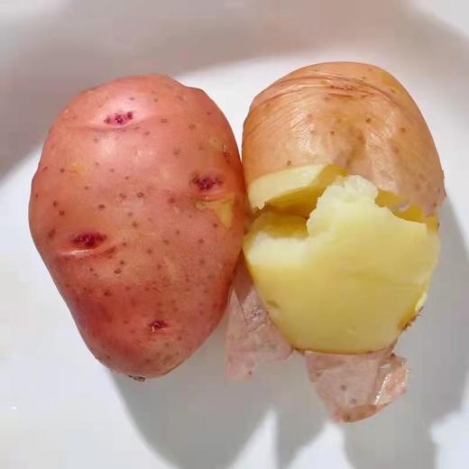 【云南红皮土豆】香甜粉糯 细嫩绵密不噎人 口感香甜 原生态种植 2种规格任选 商品图8