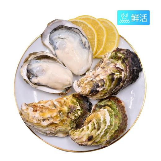 乳山生蚝（件) 约3斤 商品图1