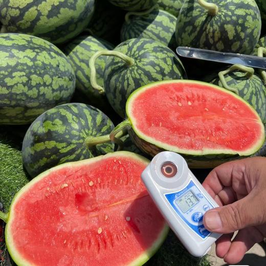 盘个瓜甘美4K西瓜 甜脆口 新鲜采摘 商品图6