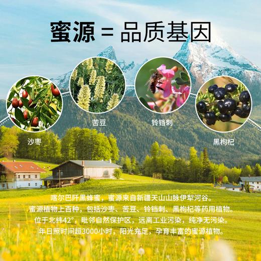 新疆果子沟黑蜂蜂蜜/天山雪蜜 500g/罐 商品图14
