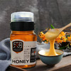 新疆果子沟黑蜂蜂蜜/天山雪蜜 500g/罐 商品缩略图8