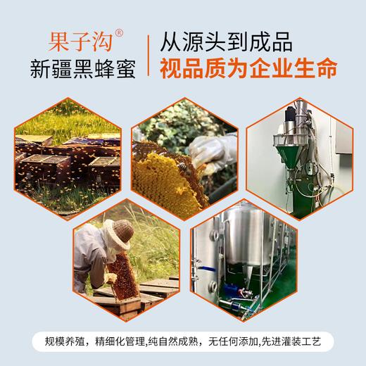 新疆果子沟黑蜂蜂蜜/天山雪蜜 500g/罐 商品图13