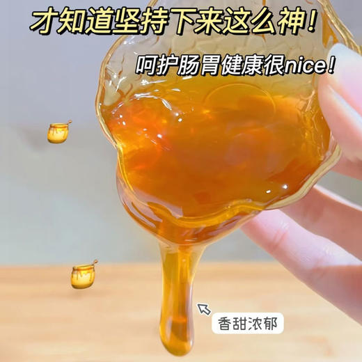 新疆果子沟黑蜂蜂蜜/天山雪蜜 500g/罐 商品图4