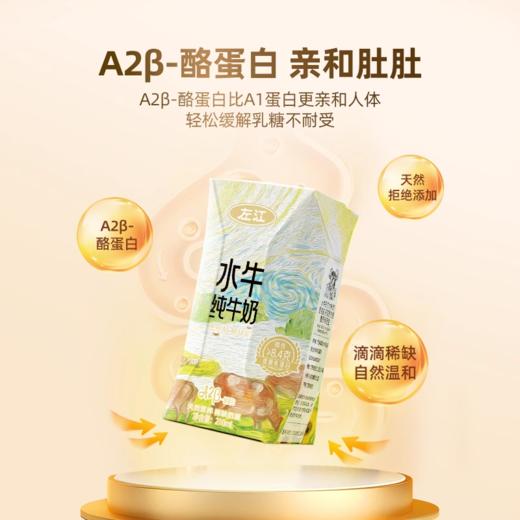 左江a2β-酪蛋白水牛纯牛奶125ml*8盒/箱 商品图4