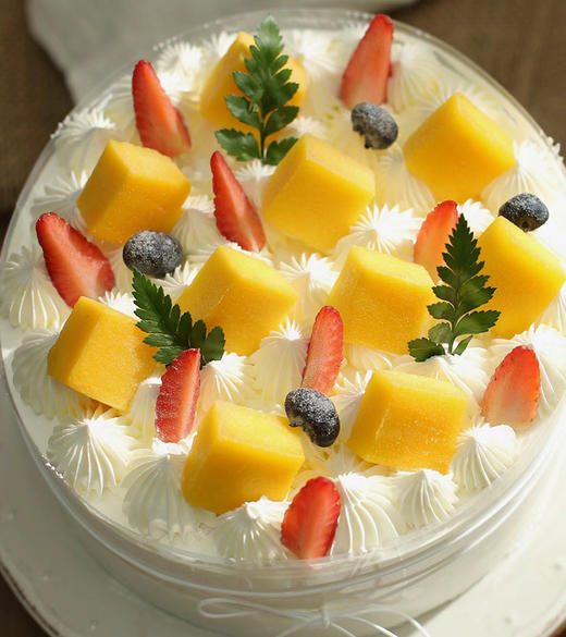 芒芒雪山--超好吃水果蛋糕+1个主持气氛组+动物奶油 商品图1