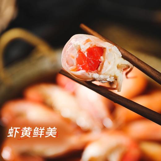 【五星私房菜 熟醉罗氏虾】鲜活淡水虾王，陈年花雕入味，虾肉质感Q弹味道鲜甜，吃一口停不下来！（预售中，2/24发货） 商品图4