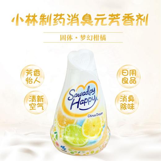 小林制药 固体芳香剂消臭香氛家用空气清新剂 120g/瓶 商品图1
