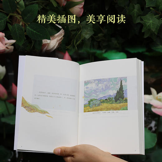 梅子熟时栀子香    肖复兴 散文精选集 经典美文舒缓治愈温暖文字 商品图3