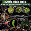 【3-10岁】生命的故事系列 商品缩略图2