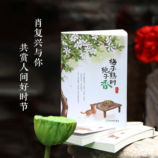 梅子熟时栀子香    肖复兴 散文精选集 经典美文舒缓治愈温暖文字 商品图0