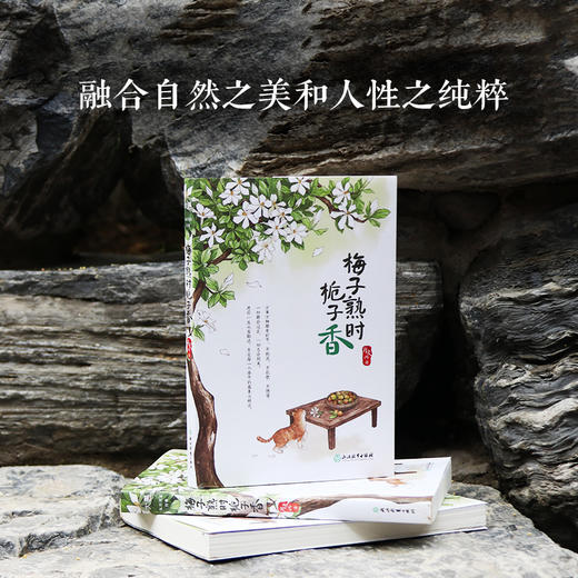 梅子熟时栀子香    肖复兴 散文精选集 经典美文舒缓治愈温暖文字 商品图2