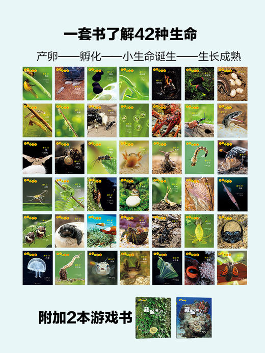 【3-10岁】生命的故事系列 商品图3