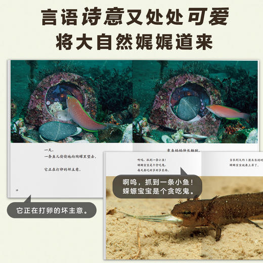 【3-10岁】生命的故事系列 商品图5